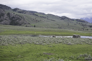 Filename=DSC_2280.jpg
Filesize=18944KiB
Dimensions=7360x4912
Date added=Sep 21, 2019 DSC_2280.jpg