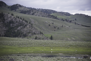 Filename=DSC_2286.jpg
Filesize=18438KiB
Dimensions=7360x4912
Date added=Sep 21, 2019 DSC_2286.jpg