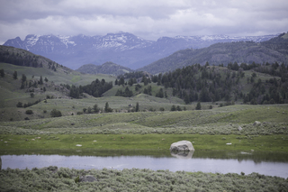 Filename=DSC_2288.jpg
Filesize=18727KiB
Dimensions=7360x4912
Date added=Sep 21, 2019 DSC_2288.jpg