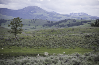 Filename=DSC_2291.jpg
Filesize=18307KiB
Dimensions=7360x4912
Date added=Sep 21, 2019 DSC_2291.jpg