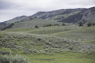 Filename=DSC_2298.jpg
Filesize=18845KiB
Dimensions=7360x4912
Date added=Sep 21, 2019 DSC_2298.jpg