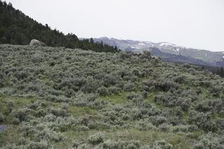 Filename=DSC_2299.jpg
Filesize=17001KiB
Dimensions=7360x4912
Date added=Sep 21, 2019 DSC_2299.jpg