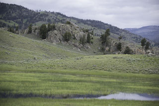 Filename=DSC_2301.jpg
Filesize=20425KiB
Dimensions=7360x4912
Date added=Sep 21, 2019 DSC_2301.jpg