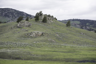 Filename=DSC_2302.jpg
Filesize=18356KiB
Dimensions=7360x4912
Date added=Sep 21, 2019 DSC_2302.jpg