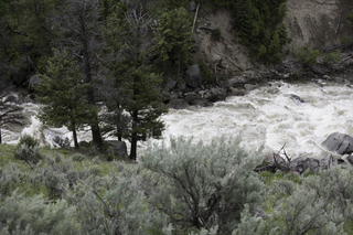 Filename=DSC_2303.jpg
Filesize=21839KiB
Dimensions=7360x4912
Date added=Sep 21, 2019 DSC_2303.jpg