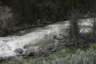 Filename=DSC_2306.jpg
Filesize=22284KiB
Dimensions=7360x4912
Date added=Sep 21, 2019 DSC_2306.jpg