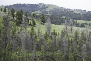 Filename=DSC_2307.jpg
Filesize=25468KiB
Dimensions=7360x4912
Date added=Sep 21, 2019 DSC_2307.jpg