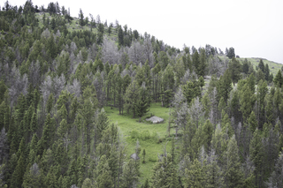 Filename=DSC_2308.jpg
Filesize=25035KiB
Dimensions=7360x4912
Date added=Sep 21, 2019 DSC_2308.jpg