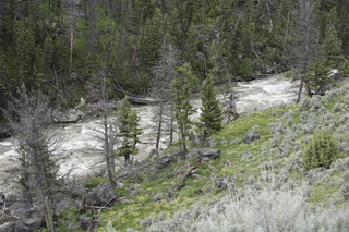 Filename=DSC_2310.jpg
Filesize=26813KiB
Dimensions=7360x4912
Date added=Sep 21, 2019 DSC_2310.jpg