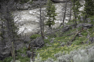 Filename=DSC_2312.jpg
Filesize=26094KiB
Dimensions=7360x4912
Date added=Sep 21, 2019 DSC_2312.jpg