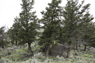 Filename=DSC_2316.jpg
Filesize=25476KiB
Dimensions=7360x4912
Date added=Sep 21, 2019 DSC_2316.jpg