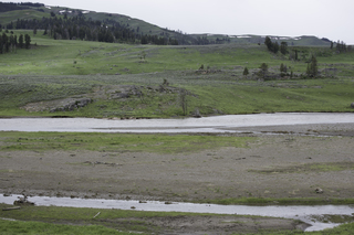 Filename=DSC_2322.jpg
Filesize=22129KiB
Dimensions=7360x4912
Date added=Sep 21, 2019 DSC_2322.jpg