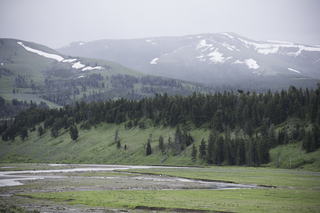 Filename=DSC_2325.jpg
Filesize=19045KiB
Dimensions=7360x4912
Date added=Sep 21, 2019 DSC_2325.jpg