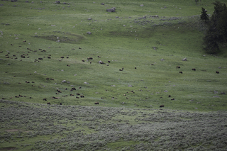 Filename=DSC_2328.jpg
Filesize=23124KiB
Dimensions=7360x4912
Date added=Sep 21, 2019 DSC_2328.jpg