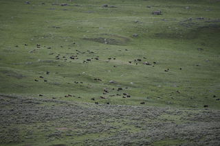 Filename=DSC_2329.jpg
Filesize=23877KiB
Dimensions=7360x4912
Date added=Sep 21, 2019 DSC_2329.jpg