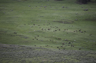 Filename=DSC_2330.jpg
Filesize=22362KiB
Dimensions=7360x4912
Date added=Sep 21, 2019 DSC_2330.jpg