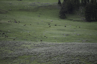 Filename=DSC_2331.jpg
Filesize=22317KiB
Dimensions=7360x4912
Date added=Sep 21, 2019 DSC_2331.jpg