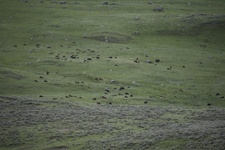 Filename=DSC_2333.jpg
Filesize=23269KiB
Dimensions=7360x4912
Date added=Sep 21, 2019 DSC_2333.jpg