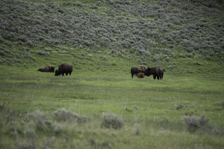 Filename=DSC_2345.jpg
Filesize=22004KiB
Dimensions=7360x4912
Date added=Sep 21, 2019 DSC_2345.jpg