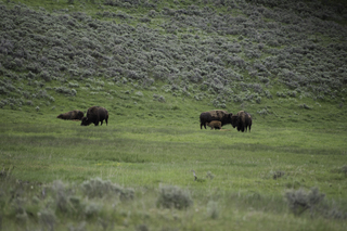 Filename=DSC_2347.jpg
Filesize=22662KiB
Dimensions=7360x4912
Date added=Sep 21, 2019 DSC_2347.jpg