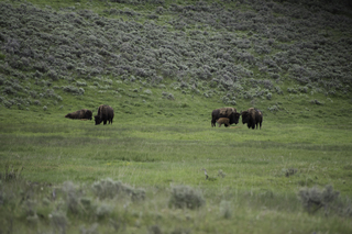 Filename=DSC_2350.jpg
Filesize=22281KiB
Dimensions=7360x4912
Date added=Sep 21, 2019 DSC_2350.jpg