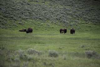 Filename=DSC_2351.jpg
Filesize=21403KiB
Dimensions=7360x4912
Date added=Sep 21, 2019 DSC_2351.jpg