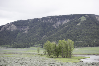 Filename=DSC_2355.jpg
Filesize=18364KiB
Dimensions=7360x4912
Date added=Sep 21, 2019 DSC_2355.jpg