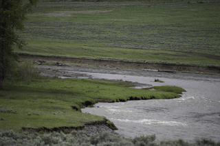 Filename=DSC_2356.jpg
Filesize=21052KiB
Dimensions=7360x4912
Date added=Sep 21, 2019 DSC_2356.jpg