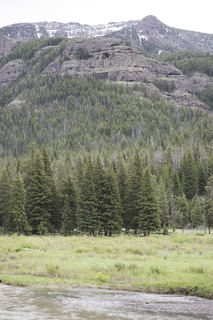 Filename=DSC_2362.jpg
Filesize=23828KiB
Dimensions=4912x7360
Date added=Sep 21, 2019 DSC_2362.jpg