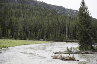 Filename=DSC_2365.jpg
Filesize=20406KiB
Dimensions=7360x4912
Date added=Sep 21, 2019 DSC_2365.jpg