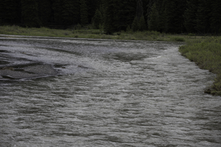 Filename=DSC_2366.jpg
Filesize=18866KiB
Dimensions=7360x4912
Date added=Sep 21, 2019 DSC_2366.jpg