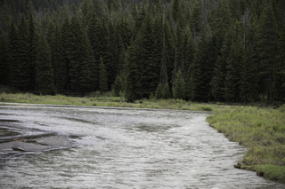 Filename=DSC_2367.jpg
Filesize=18427KiB
Dimensions=7360x4912
Date added=Sep 21, 2019 DSC_2367.jpg