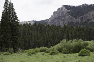 Filename=DSC_2384.jpg
Filesize=20899KiB
Dimensions=7360x4912
Date added=Sep 21, 2019 DSC_2384.jpg