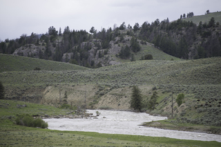 Filename=DSC_2390.jpg
Filesize=20649KiB
Dimensions=7360x4912
Date added=Sep 21, 2019 DSC_2390.jpg