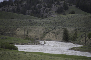 Filename=DSC_2391.jpg
Filesize=20018KiB
Dimensions=7360x4912
Date added=Sep 21, 2019 DSC_2391.jpg