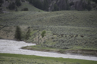 Filename=DSC_2392.jpg
Filesize=23316KiB
Dimensions=7360x4912
Date added=Sep 21, 2019 DSC_2392.jpg