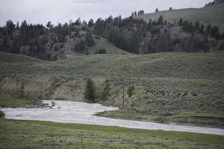 Filename=DSC_2393.jpg
Filesize=21965KiB
Dimensions=7360x4912
Date added=Sep 21, 2019 DSC_2393.jpg