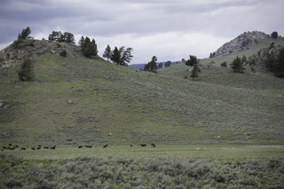 Filename=DSC_2396.jpg
Filesize=19880KiB
Dimensions=7360x4912
Date added=Sep 21, 2019 DSC_2396.jpg