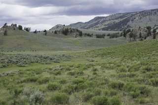 Filename=DSC_2398.jpg
Filesize=19015KiB
Dimensions=7360x4912
Date added=Sep 21, 2019 DSC_2398.jpg