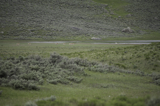 Filename=DSC_2399.jpg
Filesize=20206KiB
Dimensions=7360x4912
Date added=Sep 21, 2019 DSC_2399.jpg