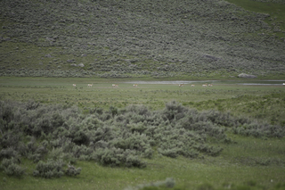 Filename=DSC_2400.jpg
Filesize=20487KiB
Dimensions=7360x4912
Date added=Sep 21, 2019 DSC_2400.jpg