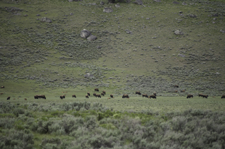 Filename=DSC_2401.jpg
Filesize=21444KiB
Dimensions=7360x4912
Date added=Sep 21, 2019 DSC_2401.jpg