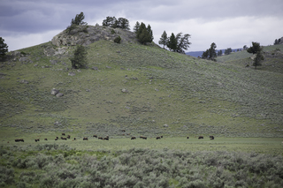 Filename=DSC_2402.jpg
Filesize=21182KiB
Dimensions=7360x4912
Date added=Sep 21, 2019 DSC_2402.jpg