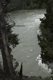 Filename=DSC_2403.jpg
Filesize=16905KiB
Dimensions=4912x7360
Date added=Sep 21, 2019 DSC_2403.jpg