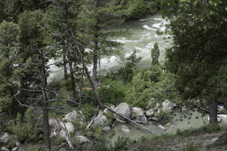 Filename=DSC_2405.jpg
Filesize=24998KiB
Dimensions=7360x4912
Date added=Sep 21, 2019 DSC_2405.jpg