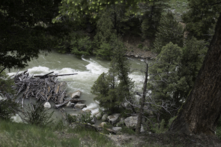 Filename=DSC_2407.jpg
Filesize=20465KiB
Dimensions=7360x4912
Date added=Sep 21, 2019 DSC_2407.jpg