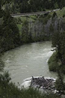 Filename=DSC_2414.jpg
Filesize=20543KiB
Dimensions=4912x7360
Date added=Sep 21, 2019 DSC_2414.jpg