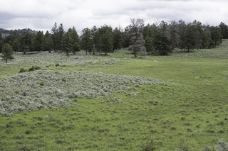 Filename=DSC_2415.jpg
Filesize=23270KiB
Dimensions=7360x4912
Date added=Sep 21, 2019 DSC_2415.jpg