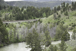 Filename=DSC_2418.jpg
Filesize=26752KiB
Dimensions=7360x4912
Date added=Sep 21, 2019 DSC_2418.jpg