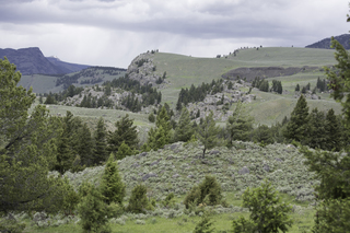 Filename=DSC_2420.jpg
Filesize=22107KiB
Dimensions=7360x4912
Date added=Sep 21, 2019 DSC_2420.jpg